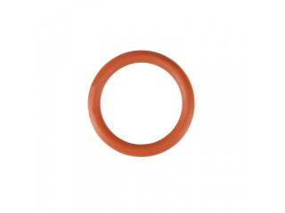 Уплотнительное кольцо FPM